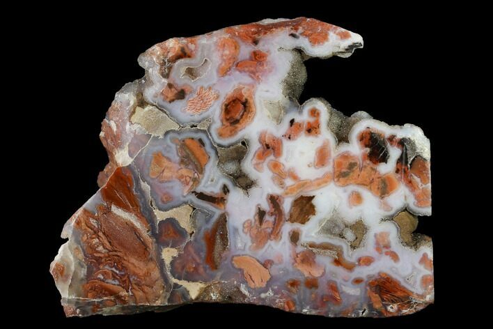 Polished Wyoming Youngite Agate/Jasper Slab - Fluorescent #152234